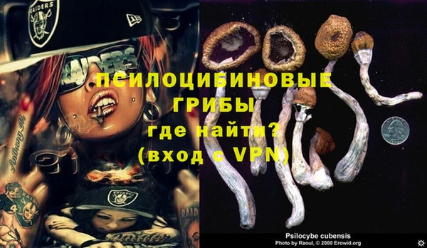 бутират Ладушкин
