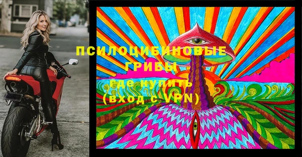ГАЛЛЮЦИНОГЕННЫЕ ГРИБЫ Куйбышев
